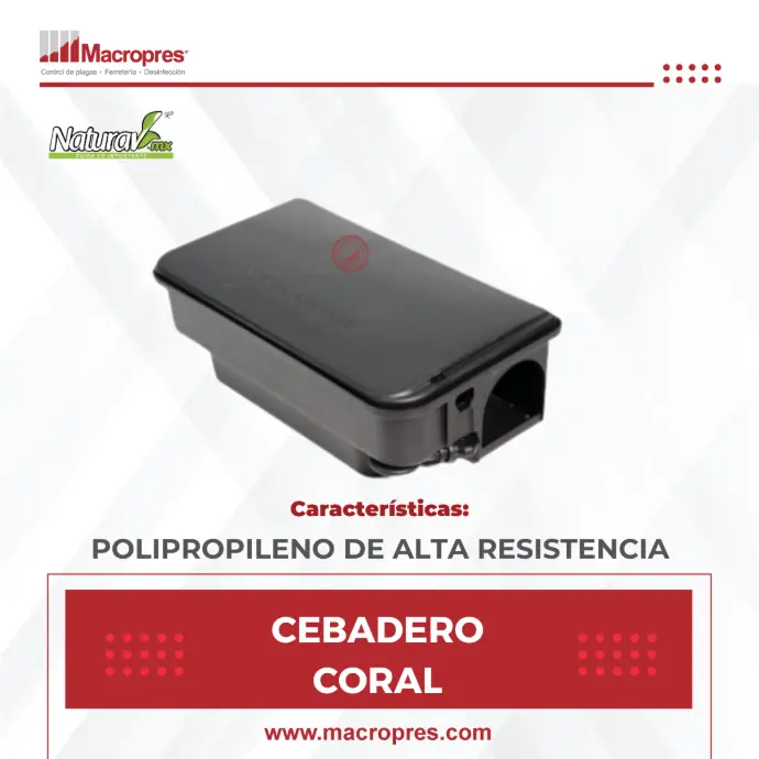 Cebadero Coral Naturav